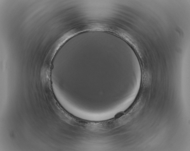 X0000111911481200909071146