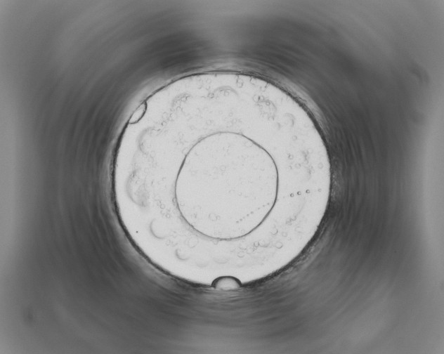 X0000111911483200909071146