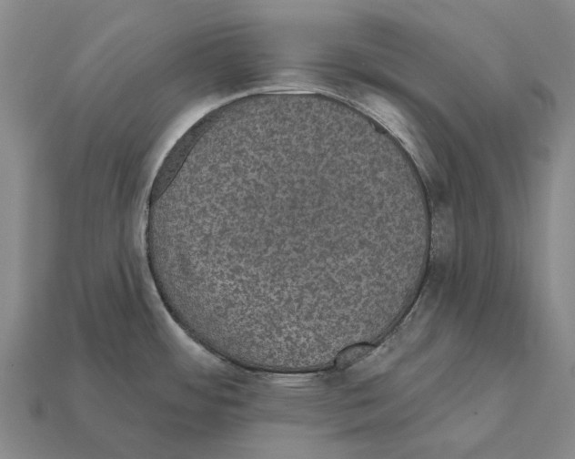 X0000111911484200909071146