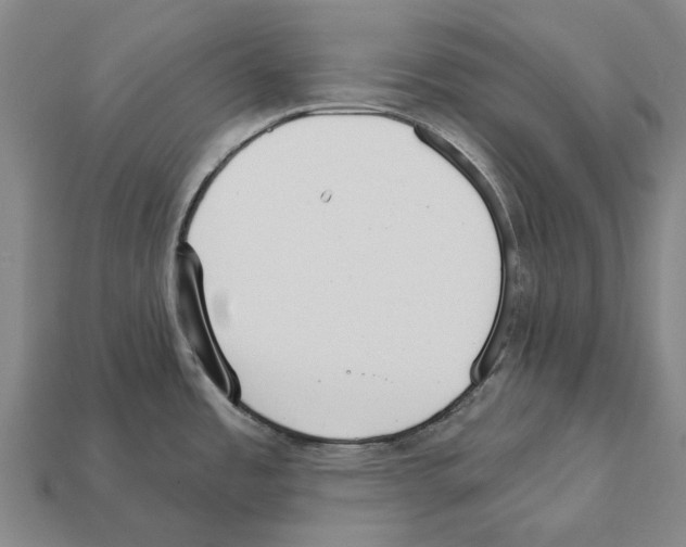 X0000111911485200909071146