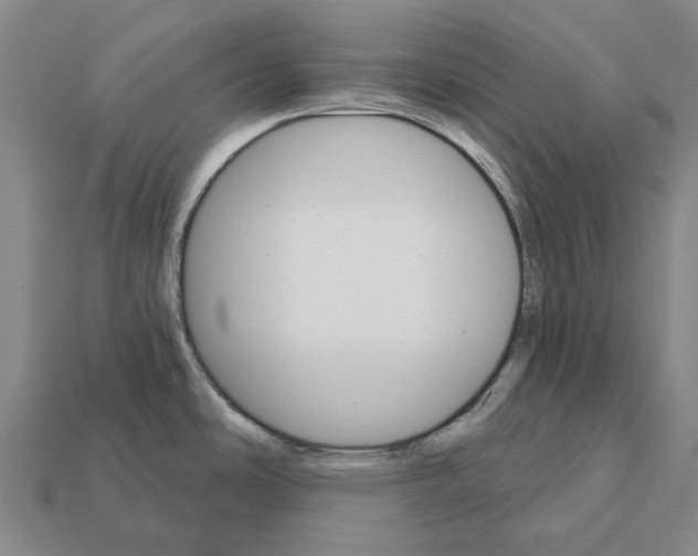 X0000111911486200909071146