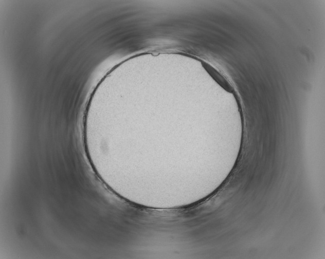 X0000111911488200909071146