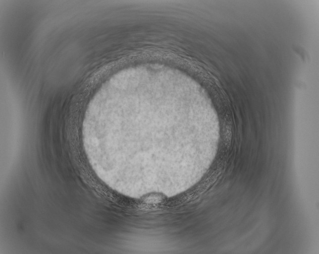 X0000111911489200909071146