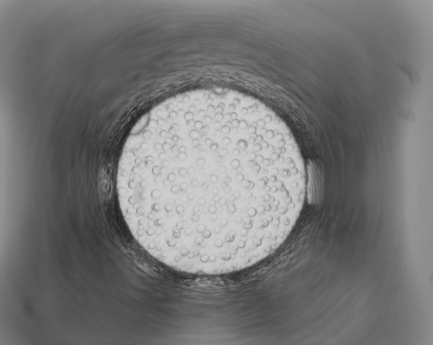X0000111911491200909071146