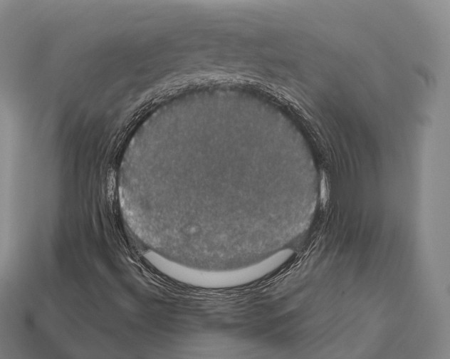 X0000111911492200909071146