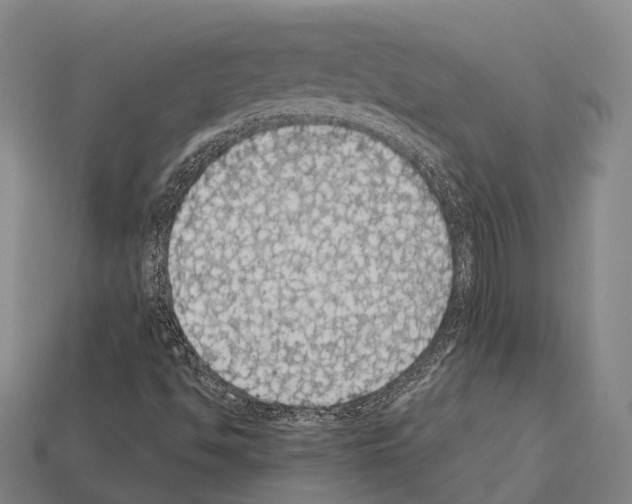 X0000111911494200909071146