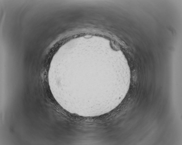 X0000111911495200909071146