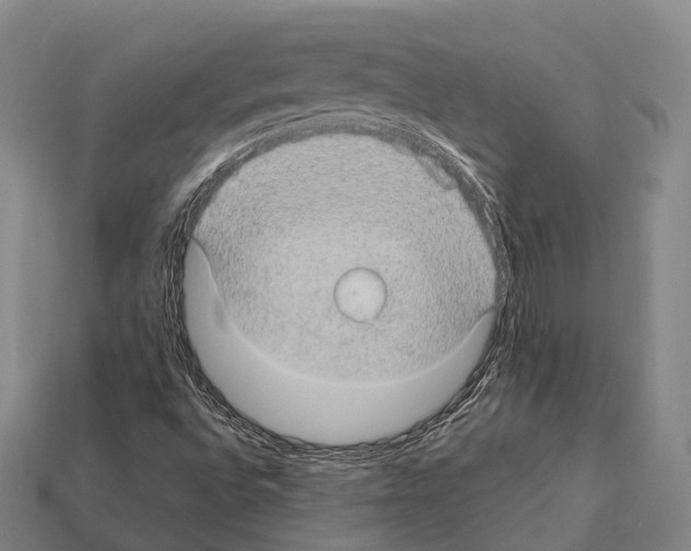 X0000111911496200909071146