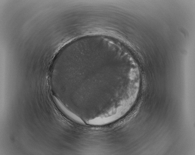 X0000111911497200909071146