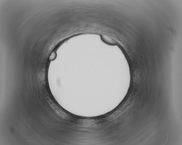 X0000111911499200909071146