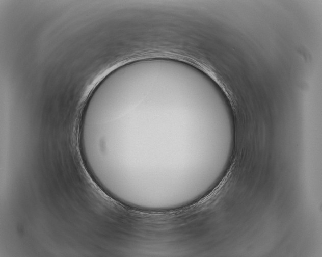 X0000111911500200909071146