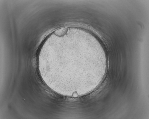X0000111911501200909071146