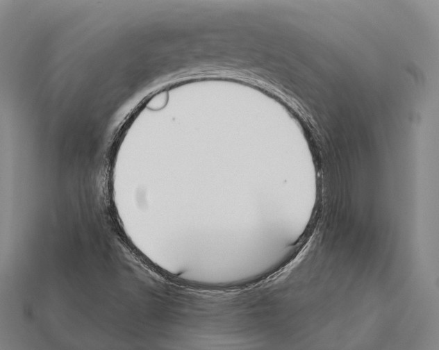 X0000111911502200909071146
