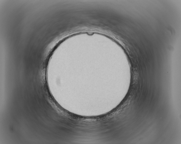 X0000111911503200909071146