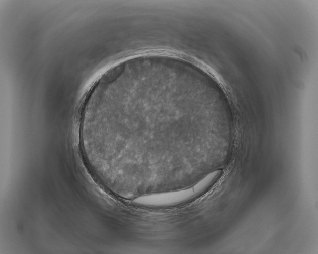 X0000111911504200909071146
