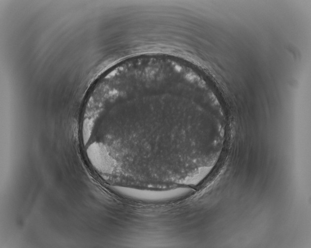 X0000111911505200909071146