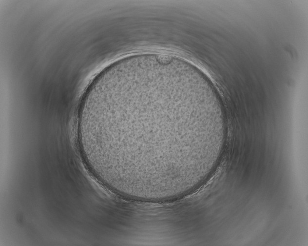 X0000111911507200909071146