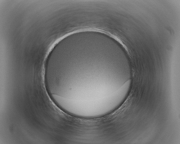 X0000111911508200909071146