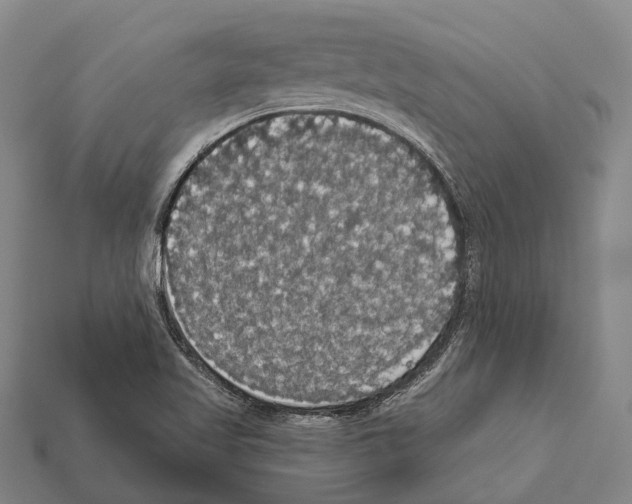 X0000111911509200909071146