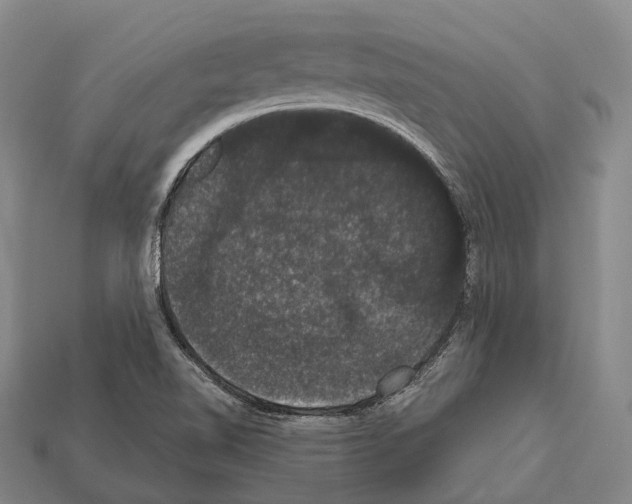 X0000111911510200909071146