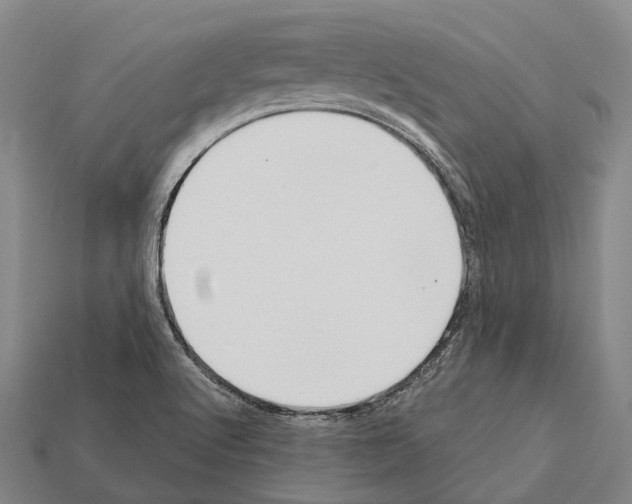 X0000111911512200909071146
