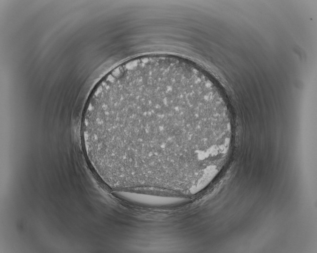 X0000111911513200909071146