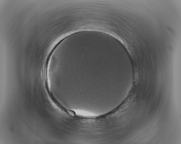 X0000111911515200909071146