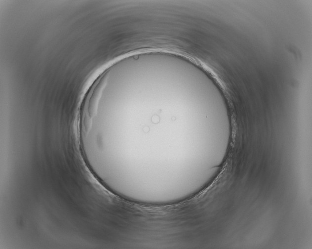 X0000111911516200909071146