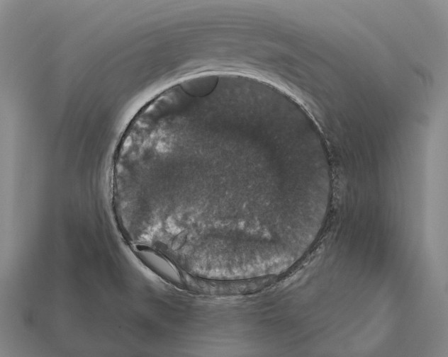 X0000111911519200909071146