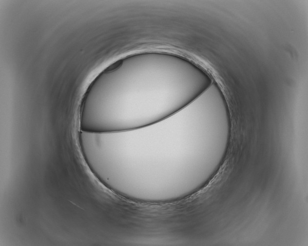 X0000111911520200909071146