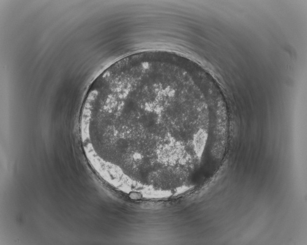 X0000111911521200909071146