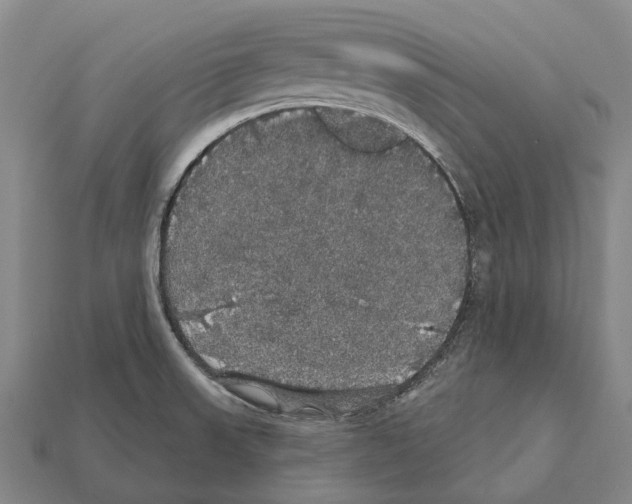 X0000111911523200909071146
