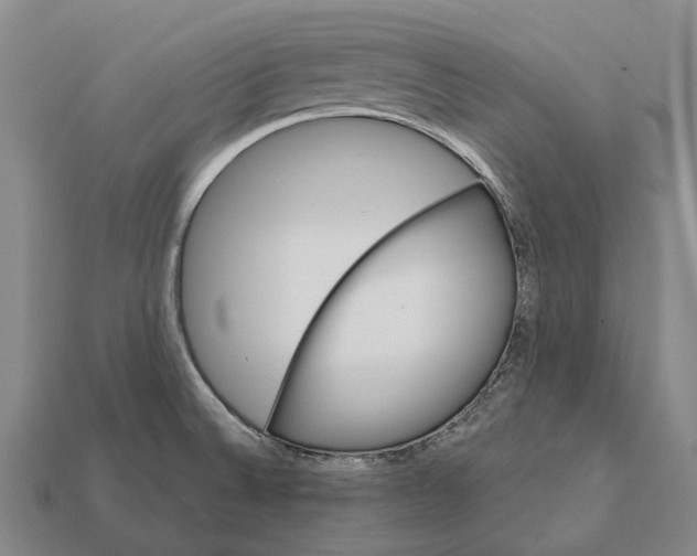 X0000111911524200909071146