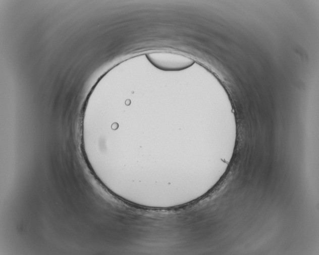 X0000111911526200909071146