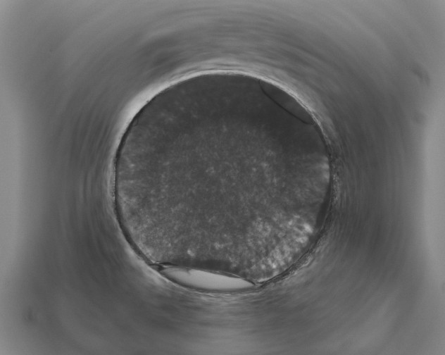 X0000111911527200909071146