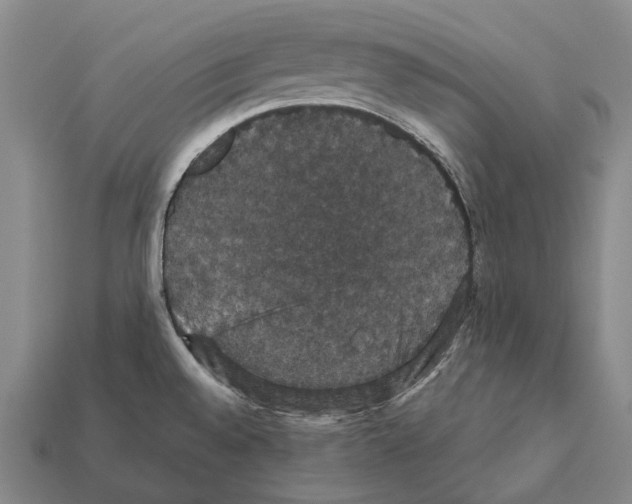 X0000111911528200909071146