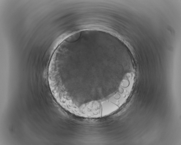 X0000111911529200909071146