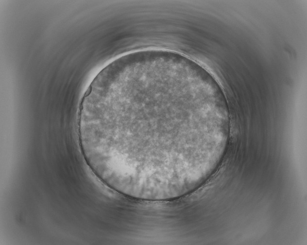 X0000111911532200909071146