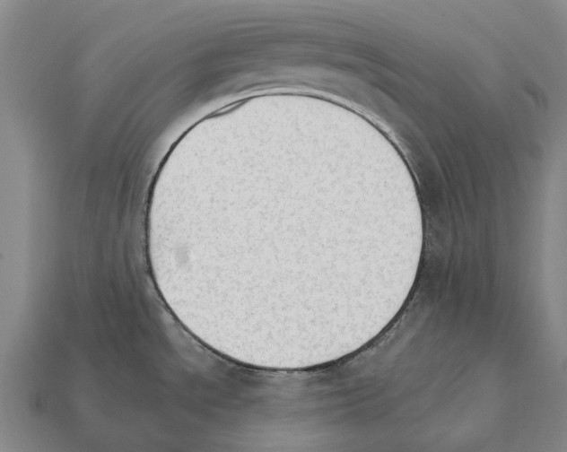X0000111911534200909071146