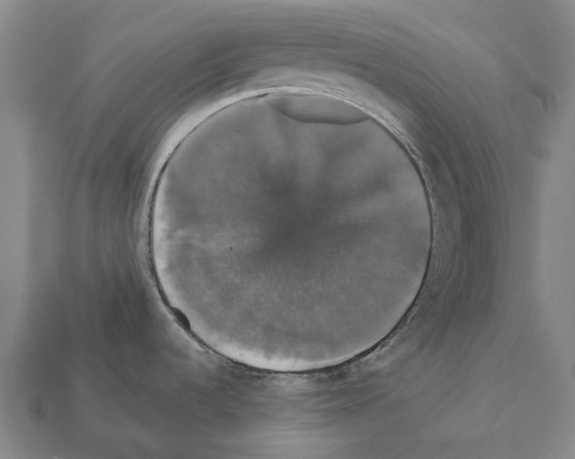 X0000111911536200909071146