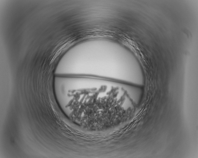 X0000111920001200907271019