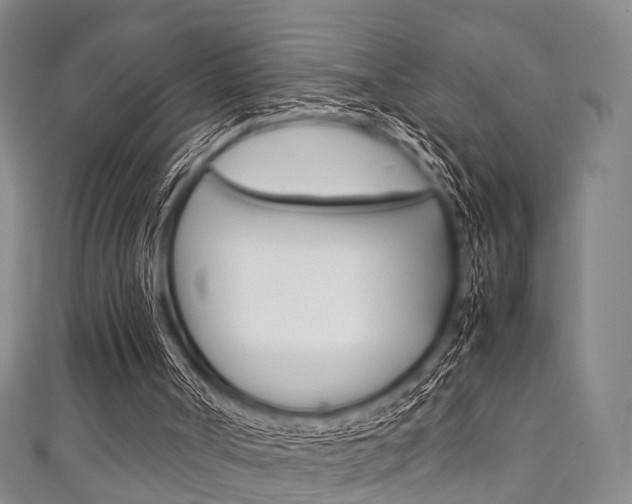 X0000111920002200907271019