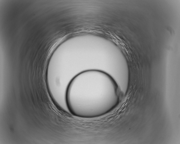 X0000111920003200907271019