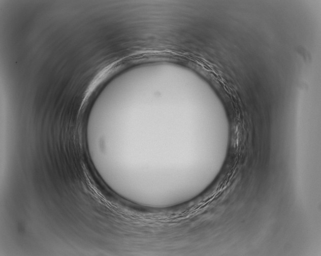 X0000111920004200907271019