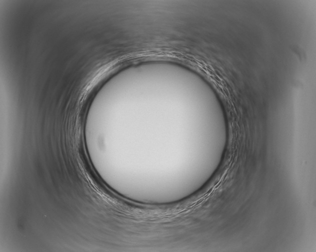 X0000111920005200907271019