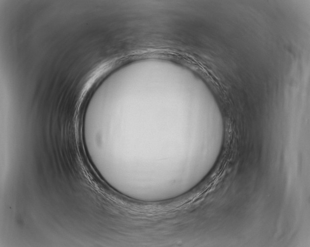 X0000111920006200907271019
