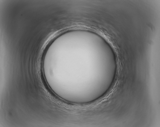 X0000111920007200907271019
