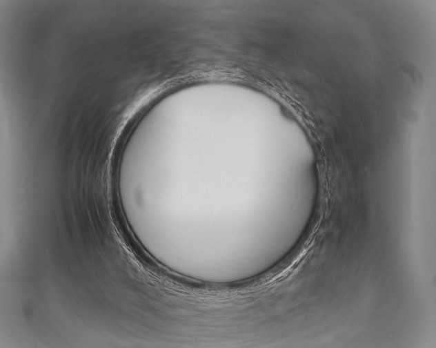 X0000111920008200907271019