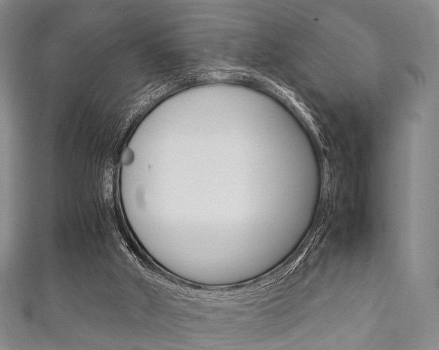 X0000111920010200907271019