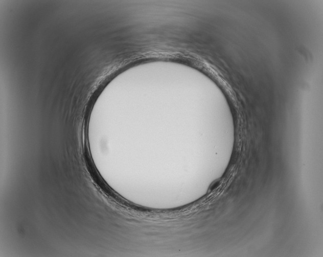 X0000111920011200907271019